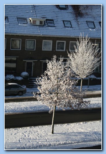 Arnhem Snow 107
